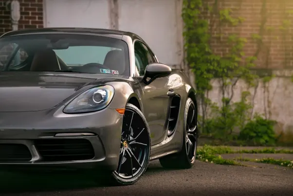 Cazino Spin Pug Cazinou Aplicație Android/iOS